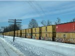 old MSC containers